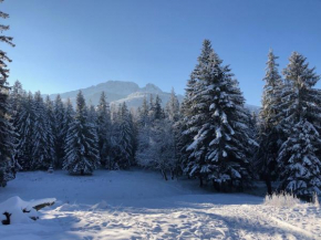 Apartament Chata Toma, Zakopane